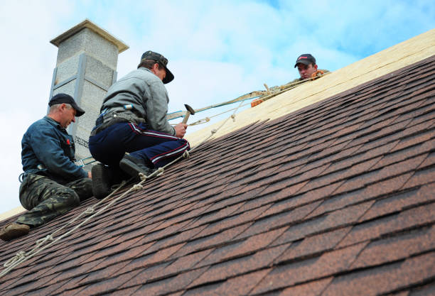 Roof Gutter Cleaning in Oakland, OR